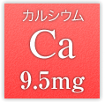 カルシウム Ca 9.5mg