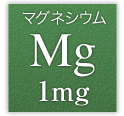 マグネシウム Mg 1mg